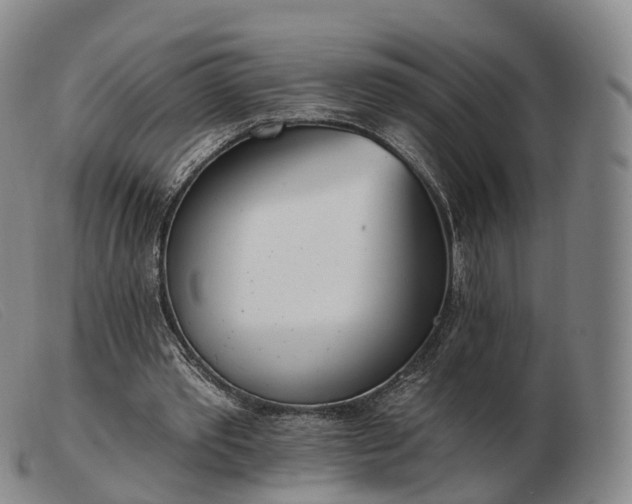 X0000103470389200809191840