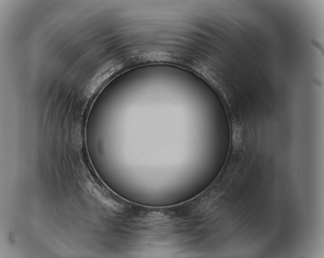 X0000103470390200809191840