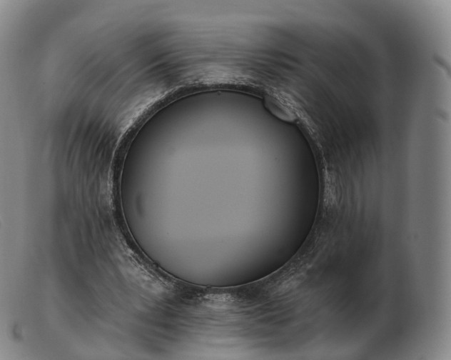 X0000103470391200809191840