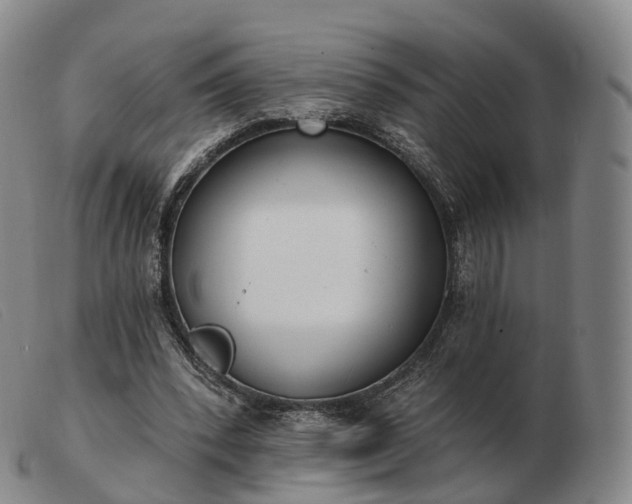 X0000103470392200809191840