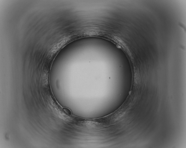 X0000103470393200809191840