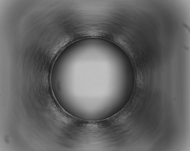 X0000103470394200809191840