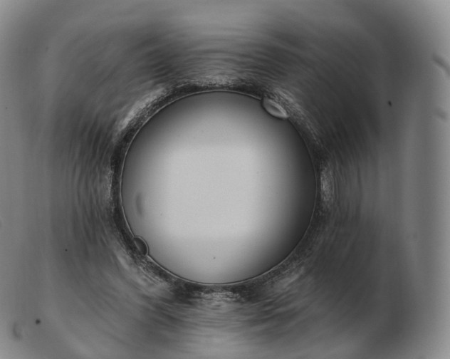 X0000103470396200809191840