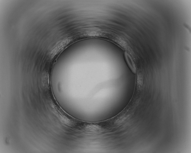 X0000103470397200809191840