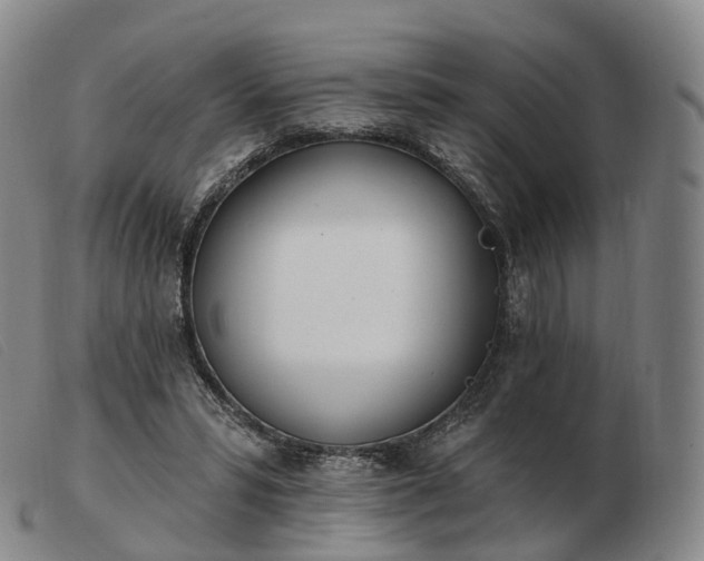 X0000103470399200809191840