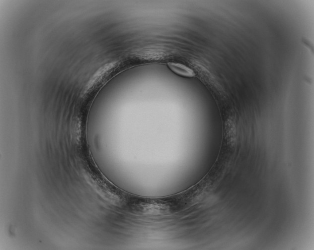 X0000103470400200809191840