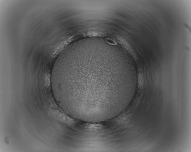 X0000103470401200809191840