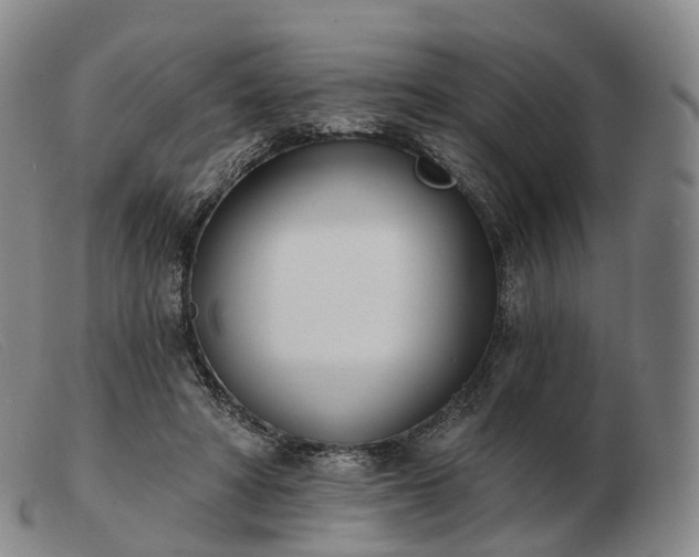 X0000103470402200809191840