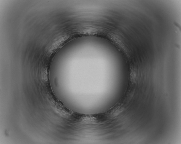 X0000103470403200809191840