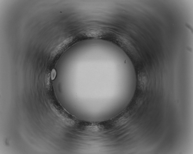 X0000103470404200809191840