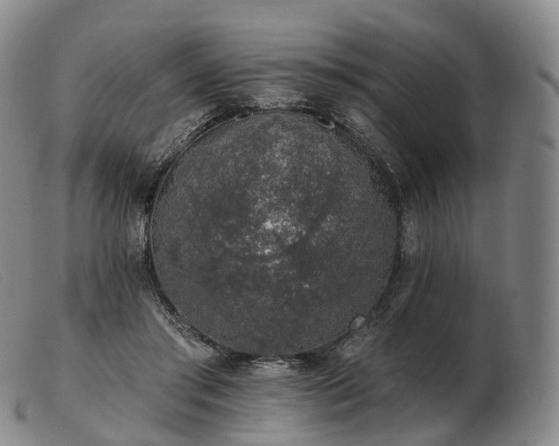 X0000103470405200809191840