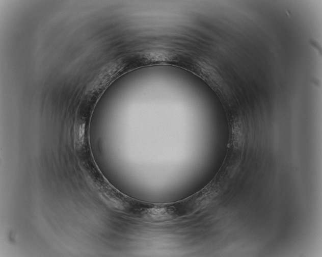 X0000103470406200809191840