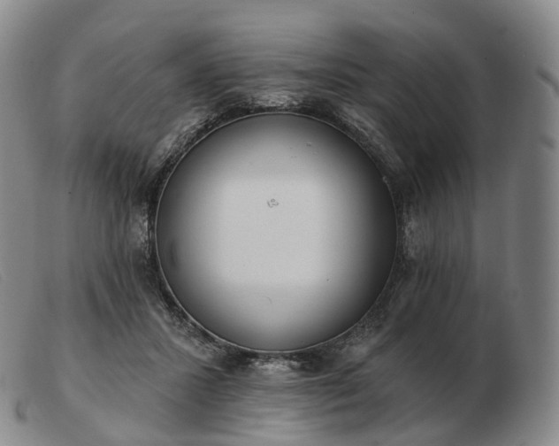 X0000103470407200809191840