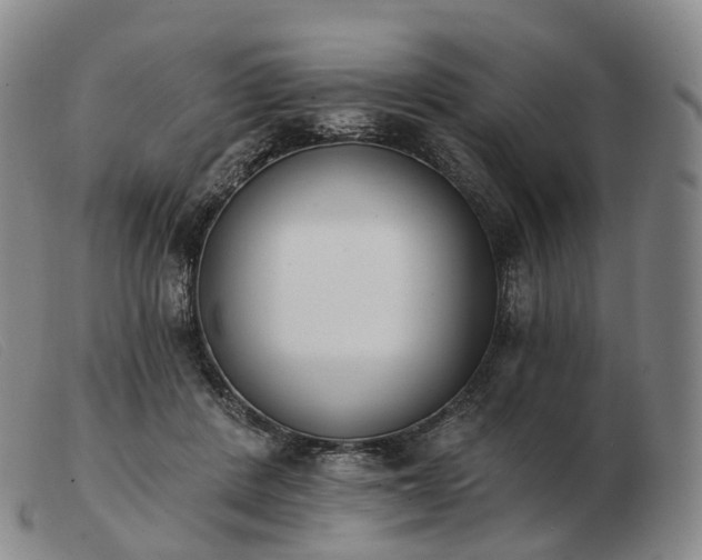 X0000103470408200809191840