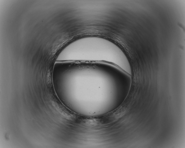 X0000103470411200809191840