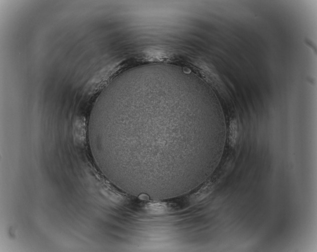 X0000103470413200809191840