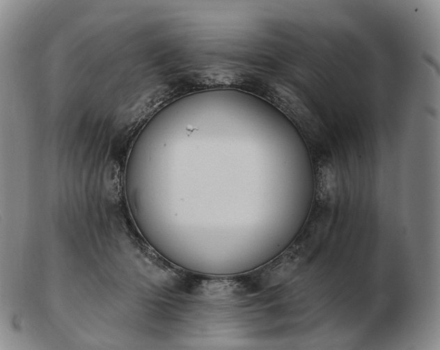 X0000103470414200809191840