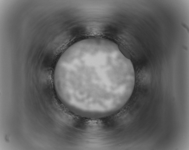 X0000103470415200809191840