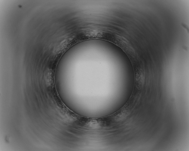 X0000103470416200809191840