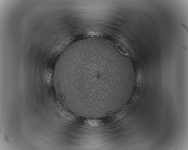 X0000103470417200809191840