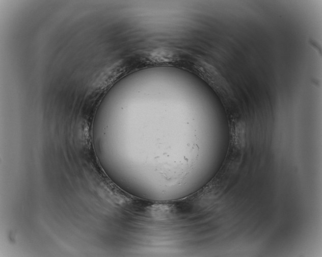 X0000103470418200809191840