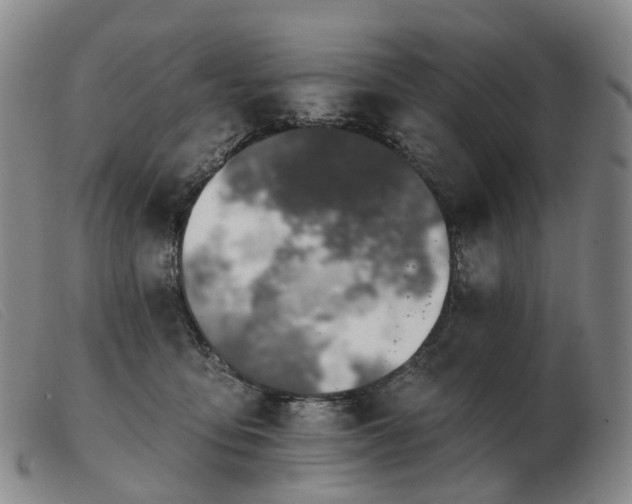 X0000103470419200809191840