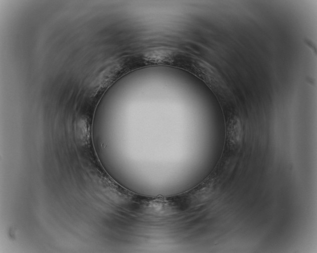 X0000103470420200809191840