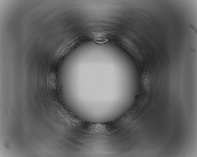 X0000103470421200809191840