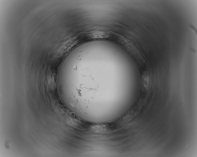 X0000103470422200809191840