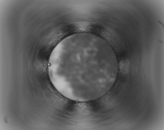 X0000103470423200809191839