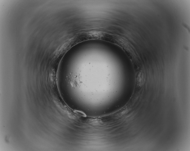 X0000103470424200809191839