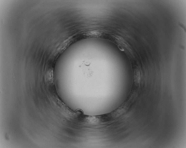 X0000103470425200809191839