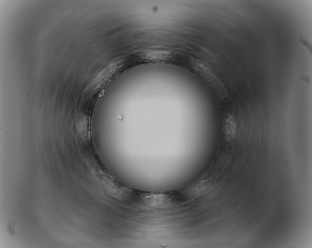 X0000103470428200809191839