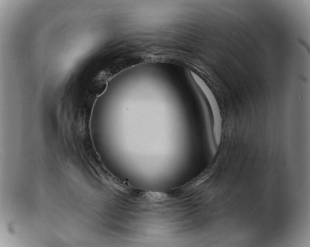 X0000103470429200809191839