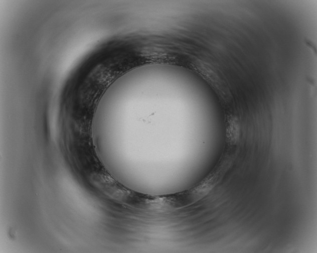 X0000103470430200809191839