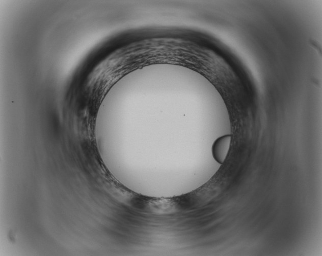 X0000103470431200809191839