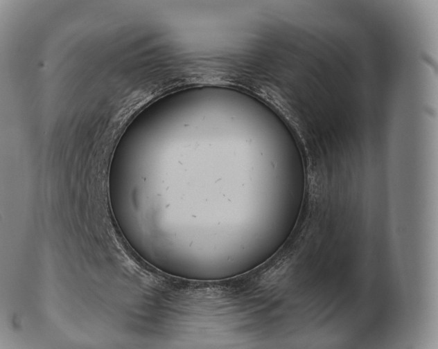 X0000103470433200809191839