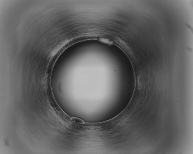 X0000103470436200809191839