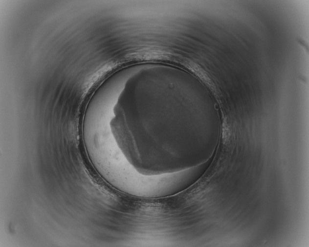 X0000103470438200809191839