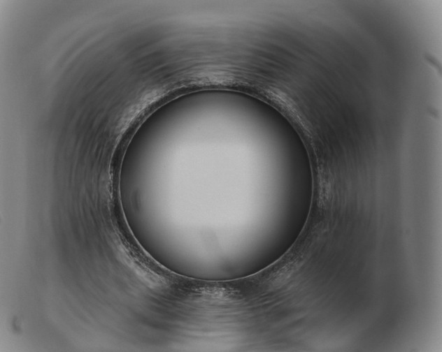 X0000103470439200809191839