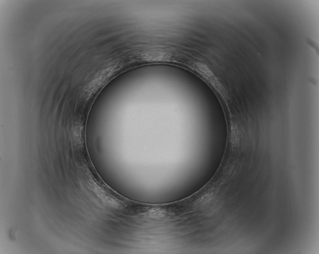 X0000103470441200809191839