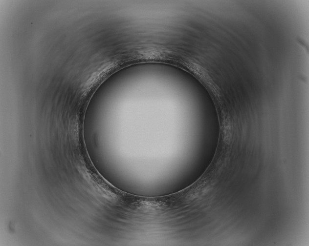 X0000103470442200809191839