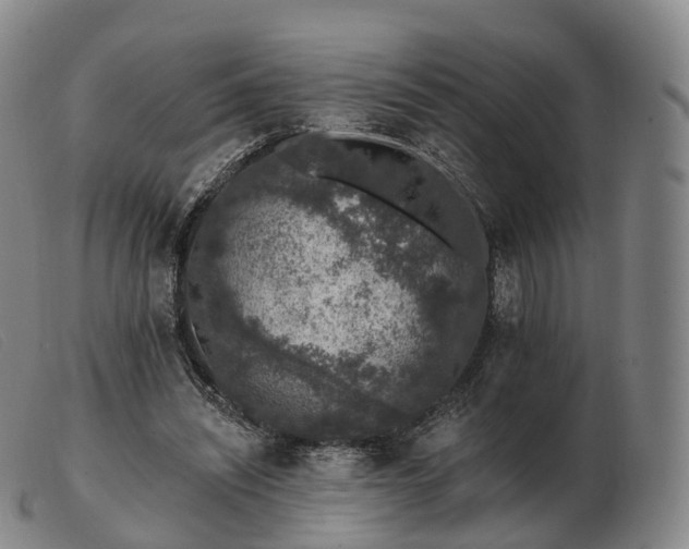 X0000103470444200809191839