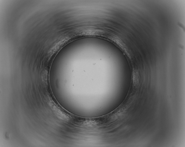 X0000103470445200809191839