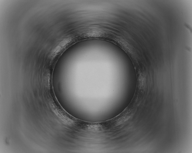 X0000103470446200809191839