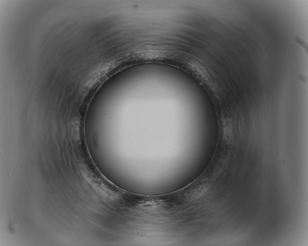 X0000103470447200809191839