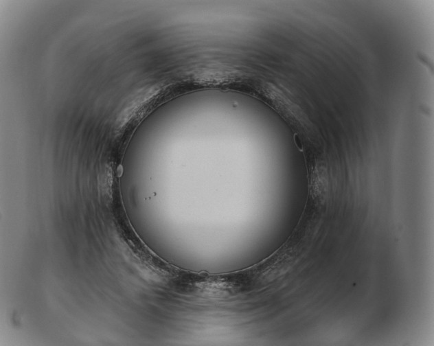 X0000103470448200809191839