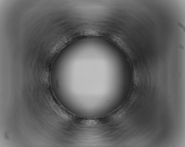 X0000103470449200809191839