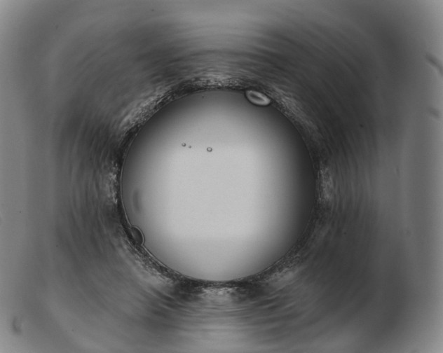 X0000103470450200809191839