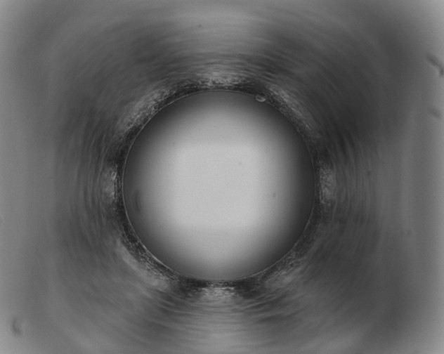 X0000103470451200809191839